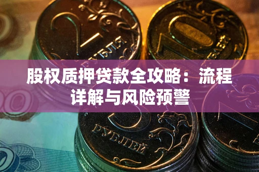 北京股权质押贷款全攻略：流程详解与风险预警