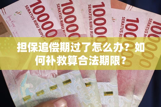 北京担保追偿期过了怎么办？如何补救算合法期限？