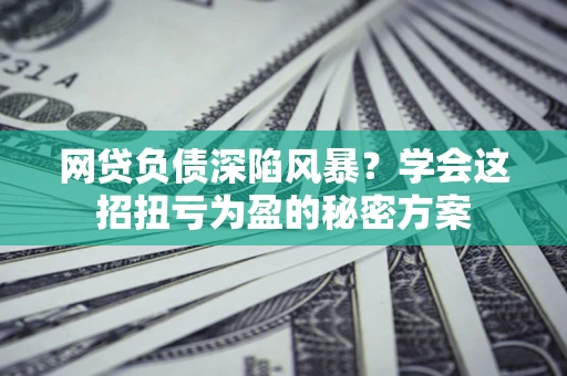 北京网贷负债深陷风暴？学会这招扭亏为盈的秘密方案